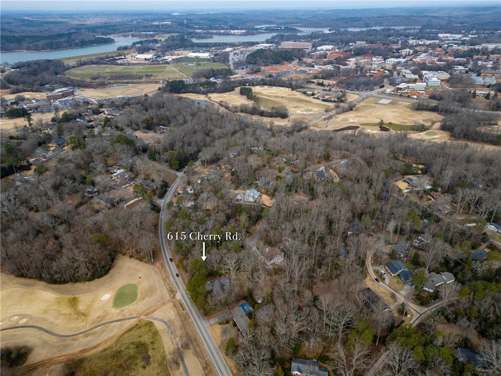 615 Cherry Road Clemson, SC 29631 - Photo 7 of 30