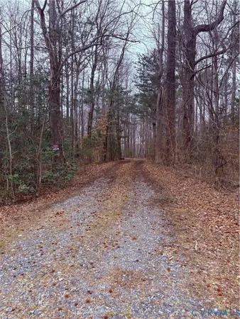 a view of a yard with trees