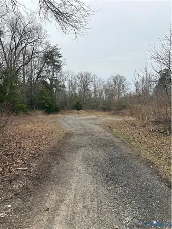 a view of a field with trees in background