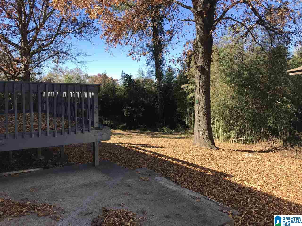 221 Forrest Drive Weaver, AL 36277 - Photo 6 of 25