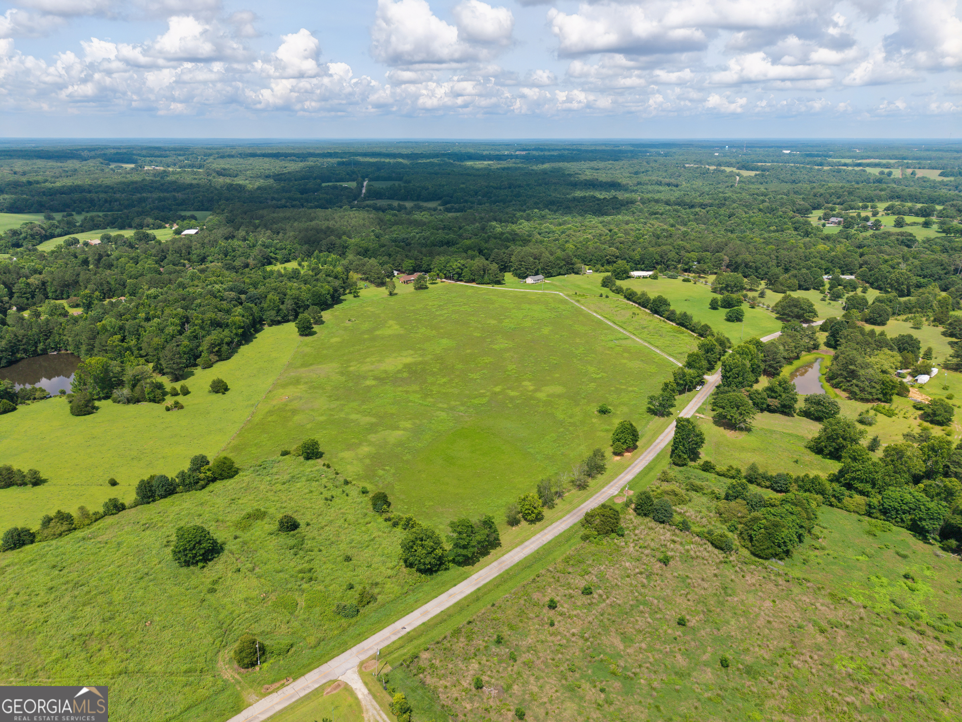 1231 Thankful Road Madison, GA 30650 - Photo 3 of 13