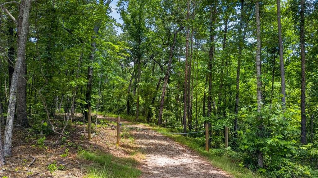 2022 Pleasant Union Road Canton, GA 30114 - Photo 5 of 17