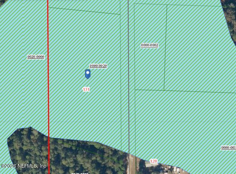 131 Phillips Road Florahome, FL 32140 - Photo 3 of 4 a green field with trees in the background