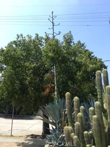 a backyard of a house with lots of green space and outdoor seating