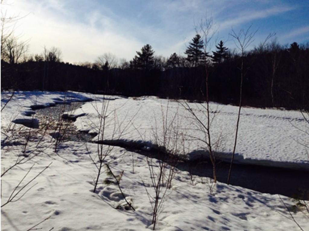 2 Farm At The New England Inn Road, Unit 2 Intervale, NH 03845 - Photo 33 of 36