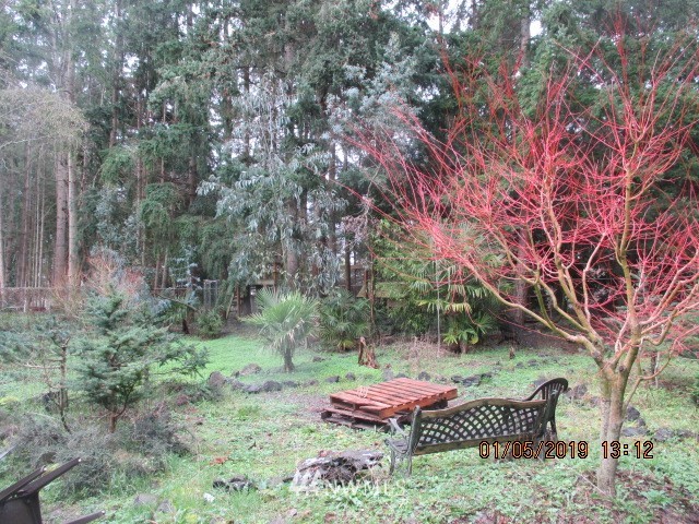 163 Masonic Hall Road Port Hadlock, WA 98339 - Photo 3 of 8 Gallery Image 3