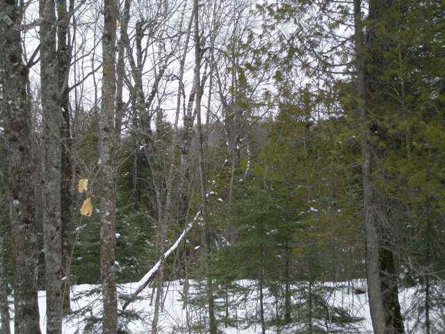 5970 Blesner Lake Road Finland, MN 55603 - Photo 4 of 7 Gallery Image 4