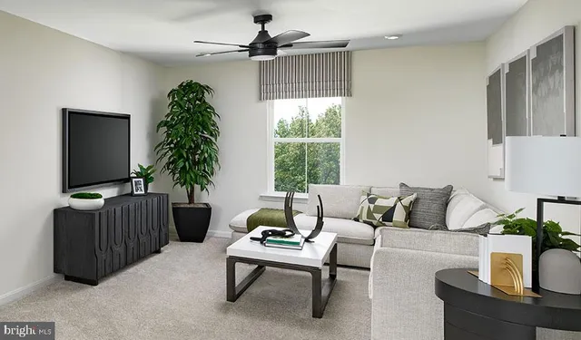 a living room with furniture a flat screen tv and a potted plant