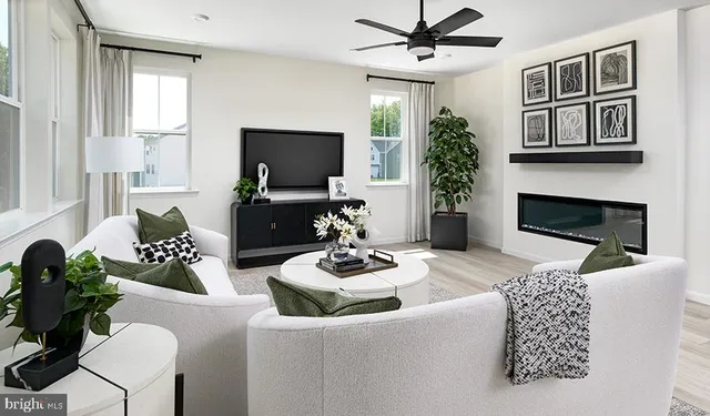 a living room with furniture potted plant and a fireplace