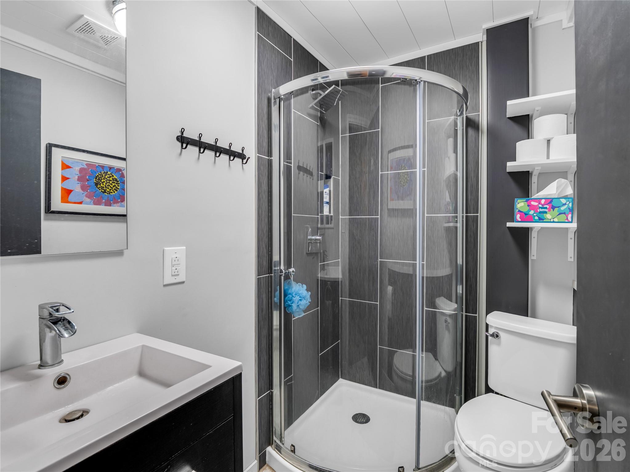 885 Salem Church Road Bostic, NC 28018 - Photo 20 of 30 a bathroom with a shower sink vanity mirror and toilet