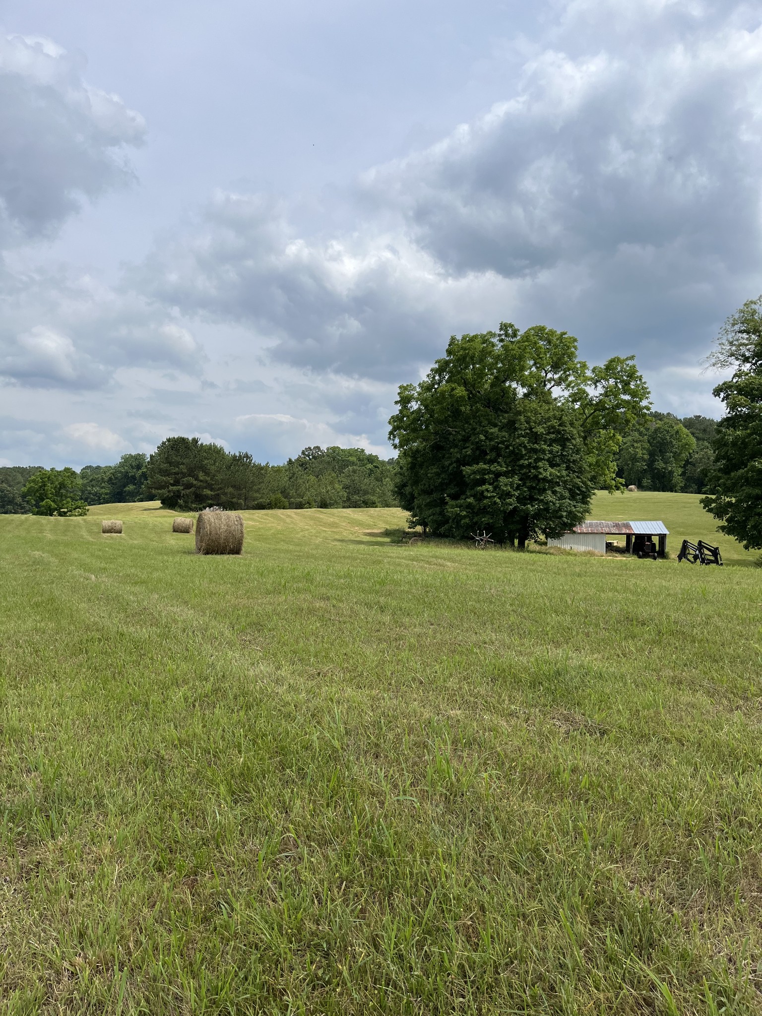 0 East Piney Road Dickson, TN 37055 - Photo 12 of 12 a view of yard with ocean view