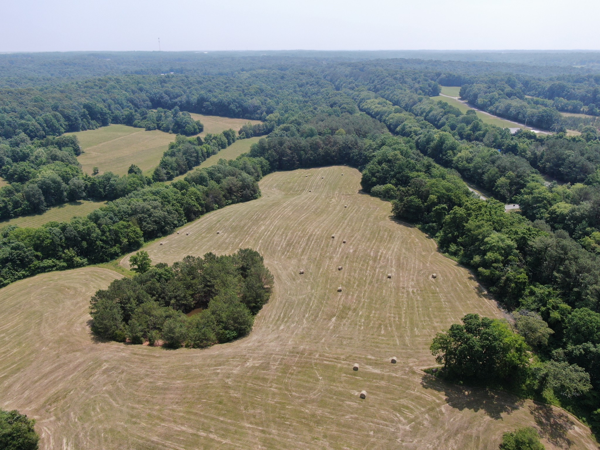 0 East Piney Road Dickson, TN 37055 - Photo 4 of 12 a view of a bunch of trees and bushes
