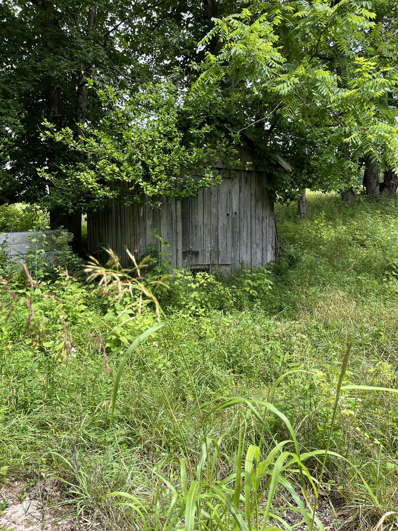 0 East Piney Road Dickson, TN 37055 - Photo 8 of 12 a backyard of a house with lots of green space