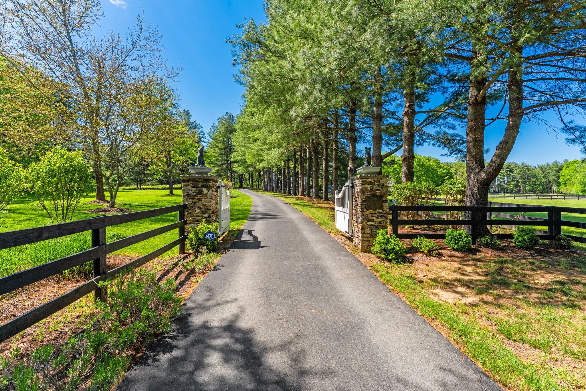 23559 Parsons Road Middleburg, VA 20117 - Photo 4 of 75 a view of a park with large trees