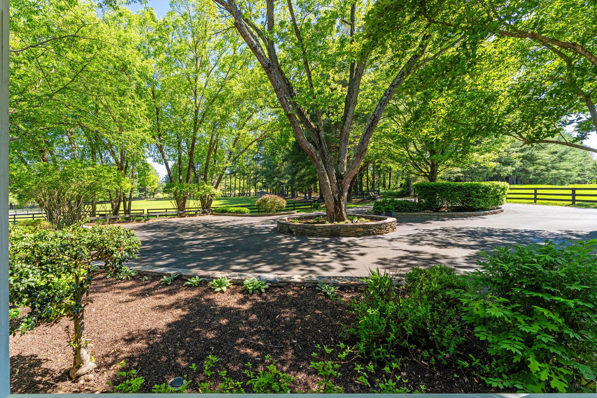 23559 Parsons Road Middleburg, VA 20117 - Photo 73 of 75 a view of outdoor space with deck and trees