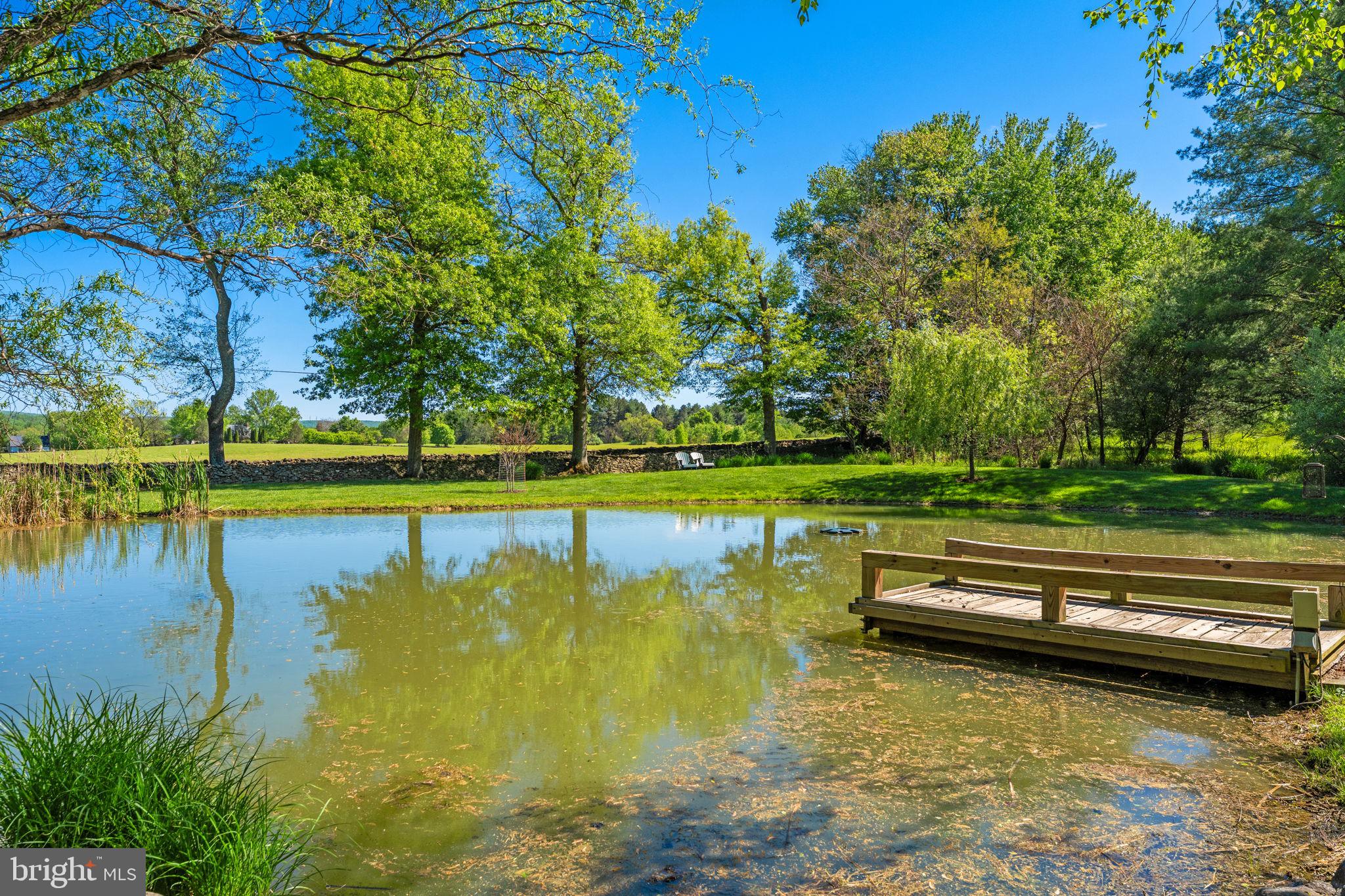 23559 Parsons Road Middleburg, VA 20117 - Photo 75 of 75 a view of a swimming pool with a lawn chairs and plants