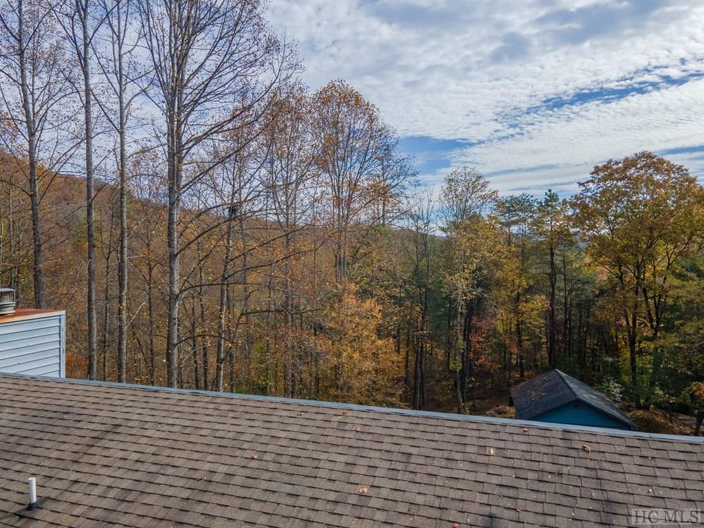 107 Bartram Trail Road Franklin, NC 28734 - Photo 52 of 64 Gallery Image 52