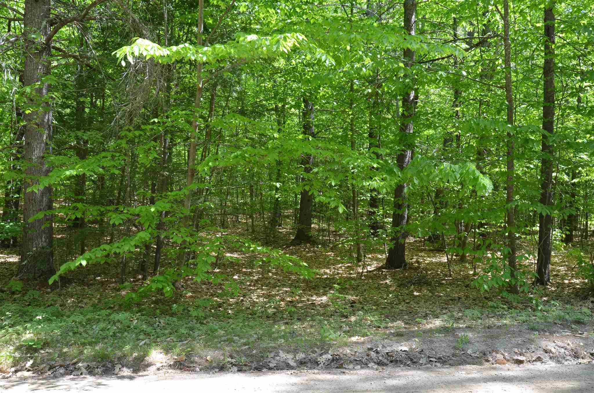 Lot 87 Freedom Point Road, Unit 87 Freedom, NH 03836 - Photo 1 of 11
