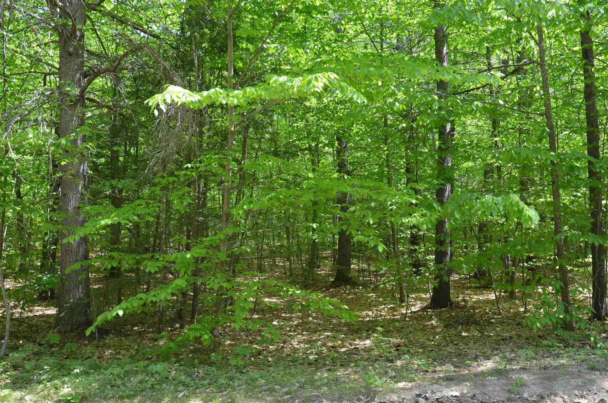 Lot 87 Freedom Point Road, Unit 87 Freedom, NH 03836 - Photo 2 of 11