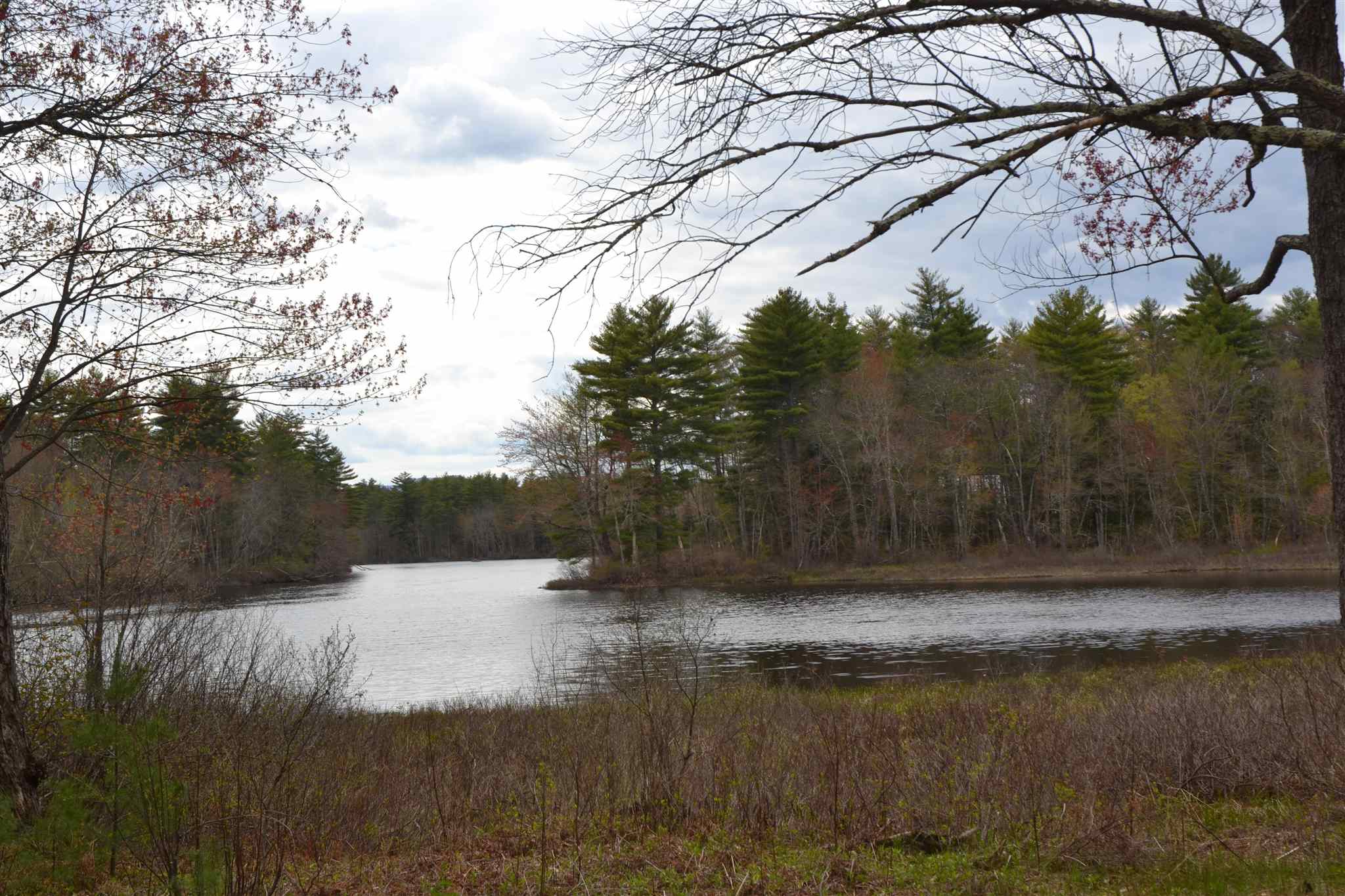Lot 87 Freedom Point Road, Unit 87 Freedom, NH 03836 - Photo 11 of 11