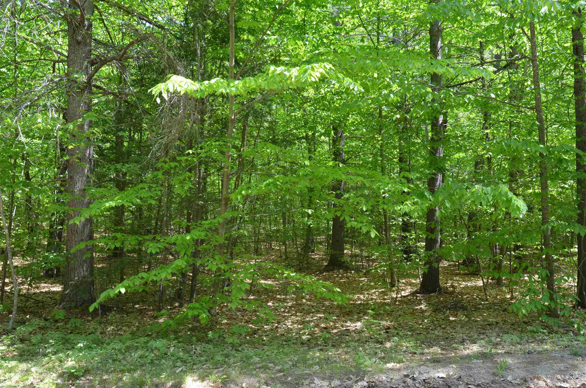 Lot 87 Freedom Point Road, Unit 87 Freedom, NH 03836 - Photo 3 of 11