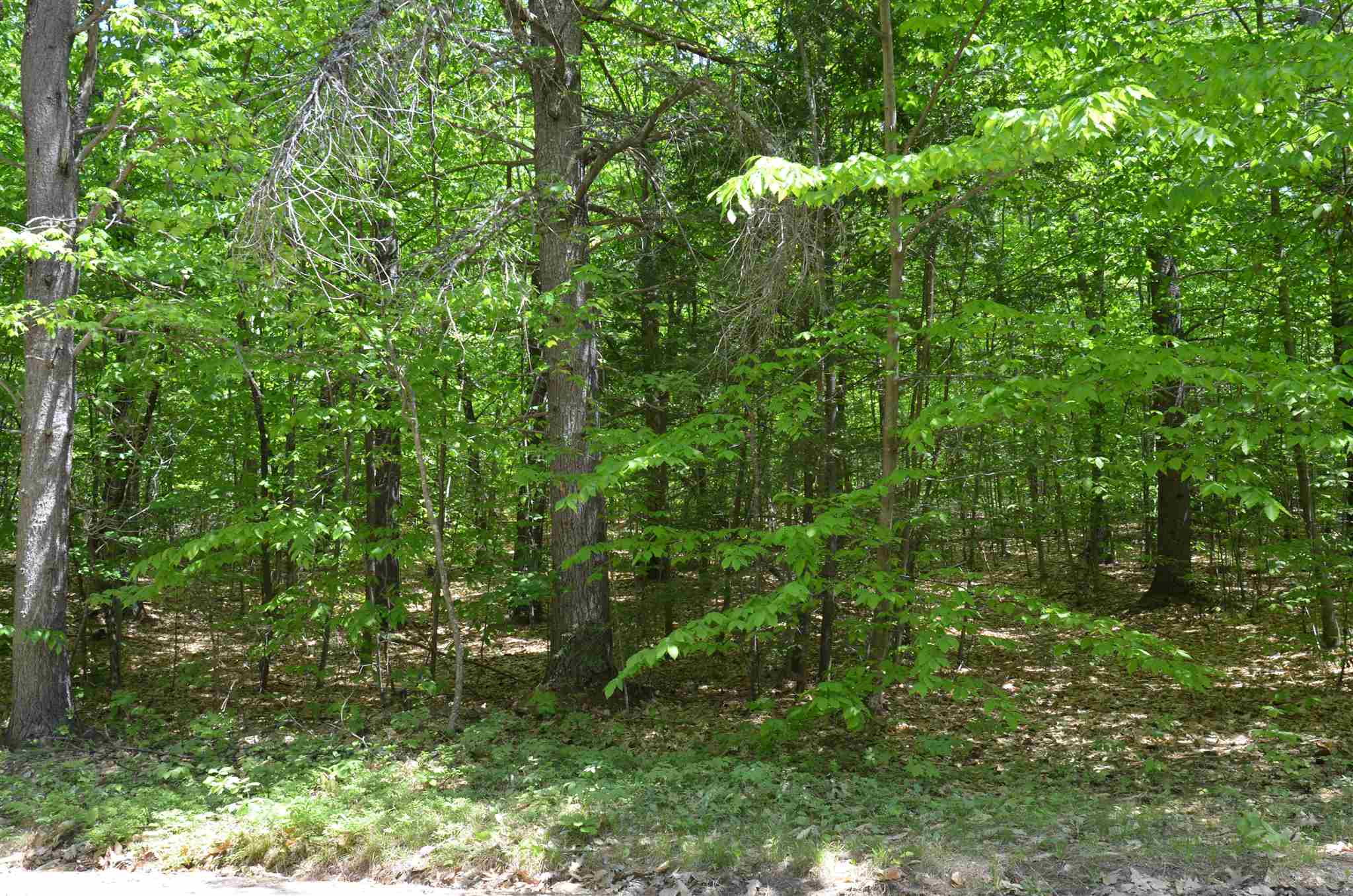 Lot 87 Freedom Point Road, Unit 87 Freedom, NH 03836 - Photo 4 of 11