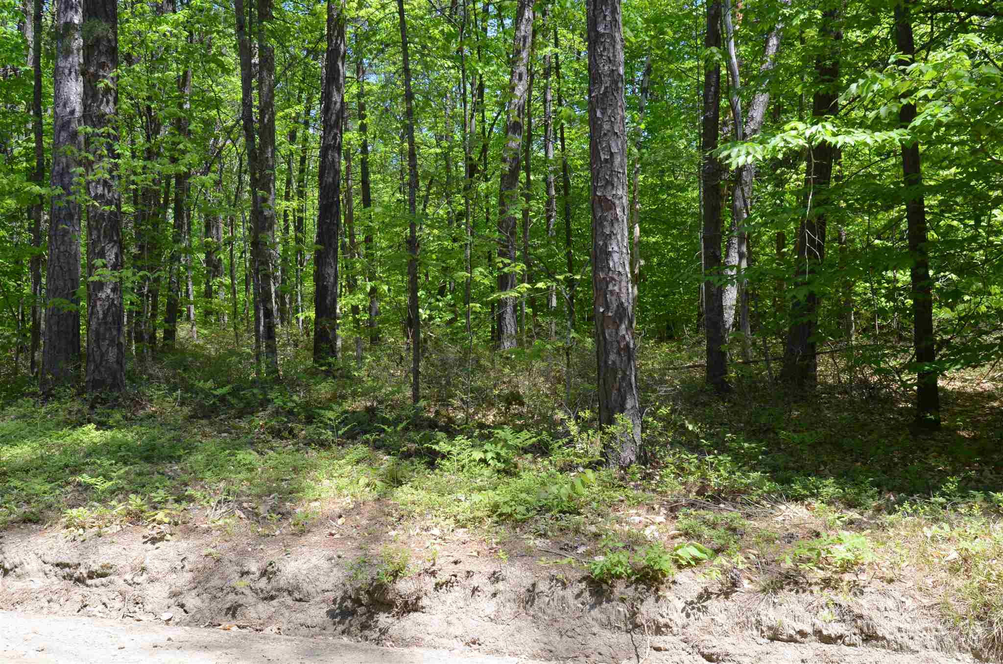 Lot 87 Freedom Point Road, Unit 87 Freedom, NH 03836 - Photo 7 of 11