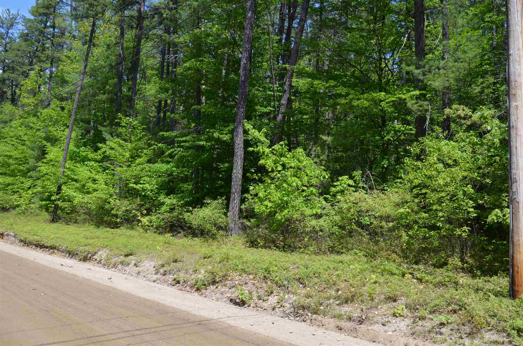 Lot 87 Freedom Point Road, Unit 87 Freedom, NH 03836 - Photo 8 of 11