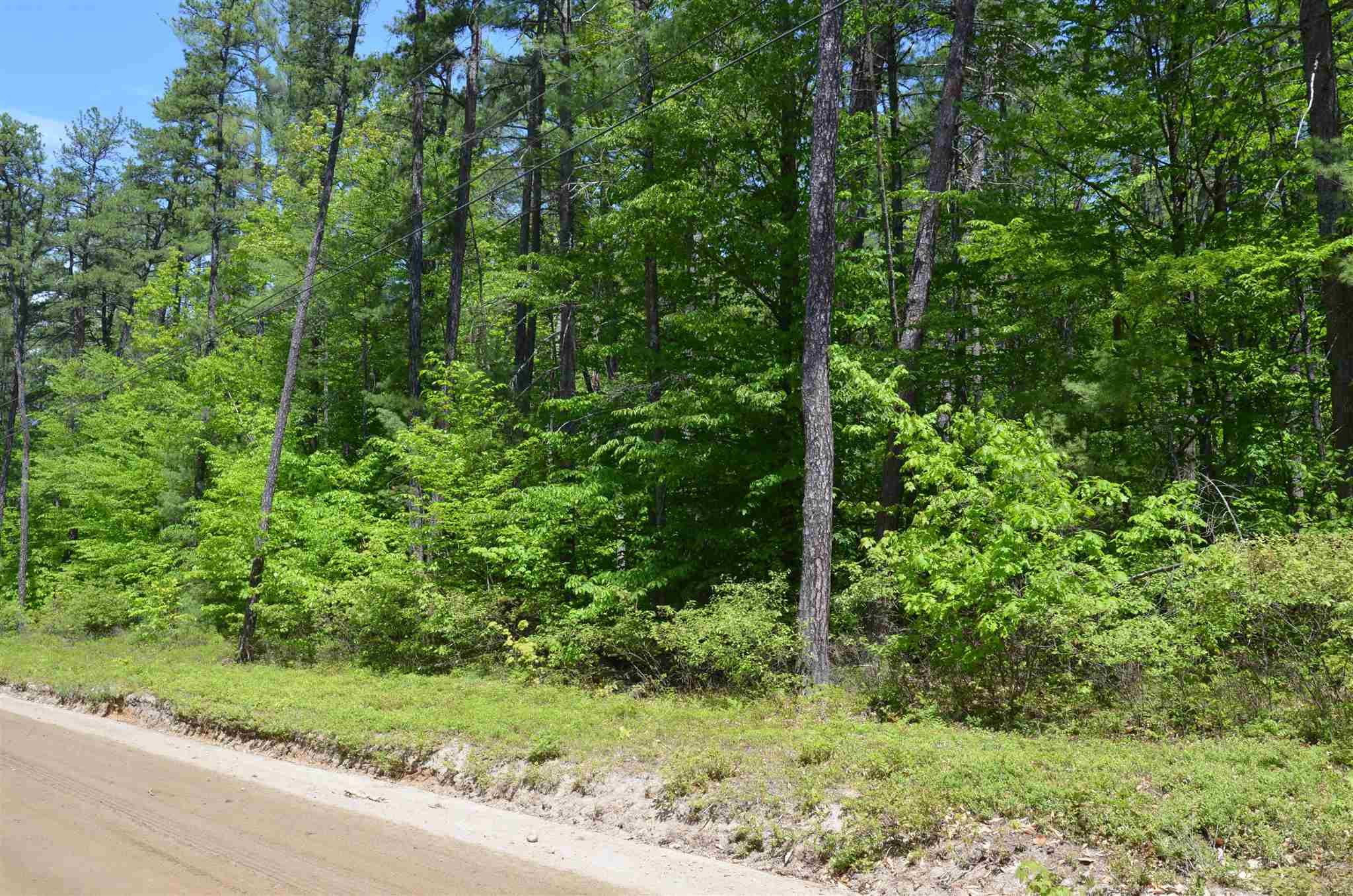 Lot 87 Freedom Point Road, Unit 87 Freedom, NH 03836 - Photo 9 of 11