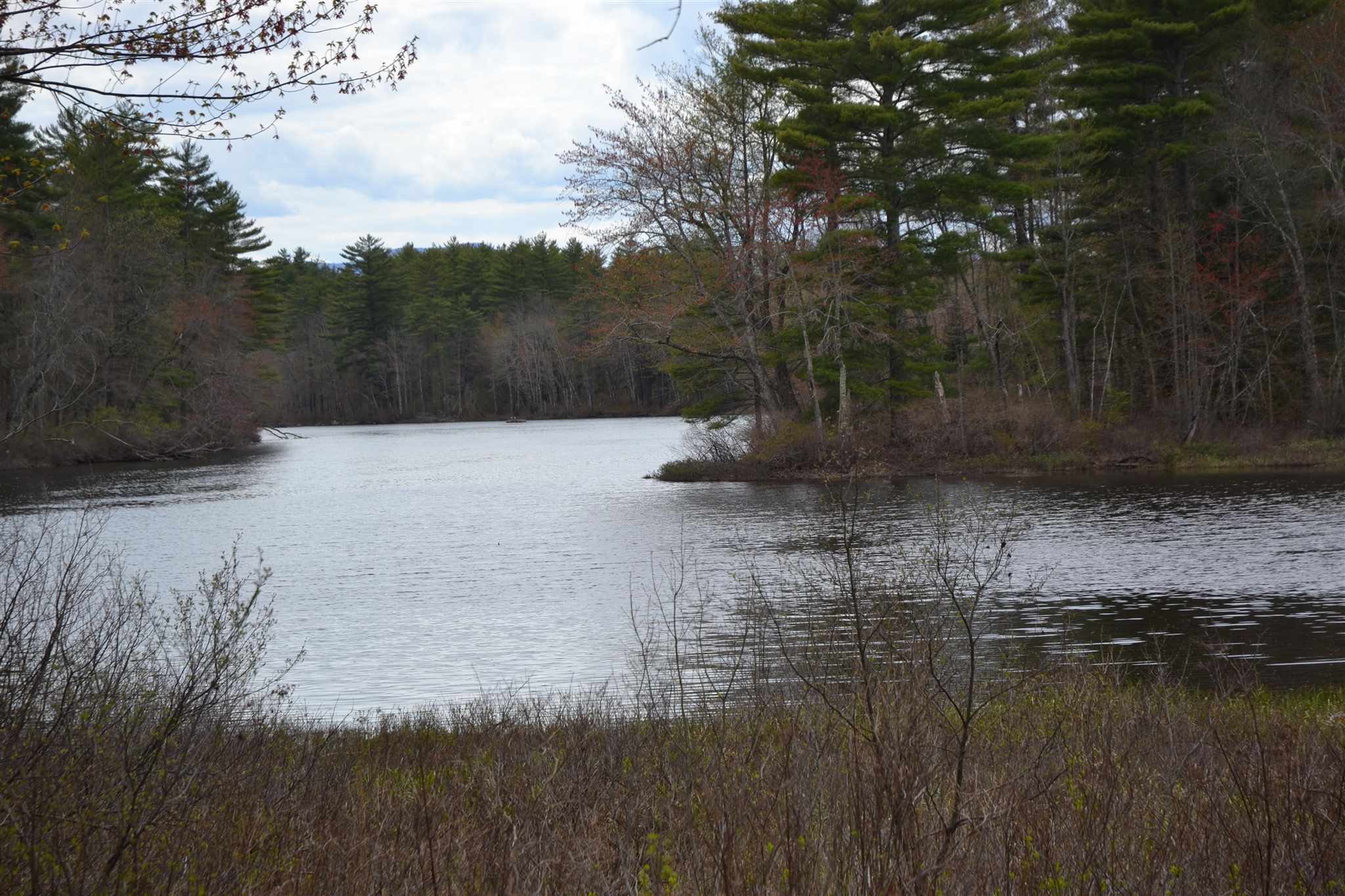Lot 87 Freedom Point Road, Unit 87 Freedom, NH 03836 - Photo 10 of 11