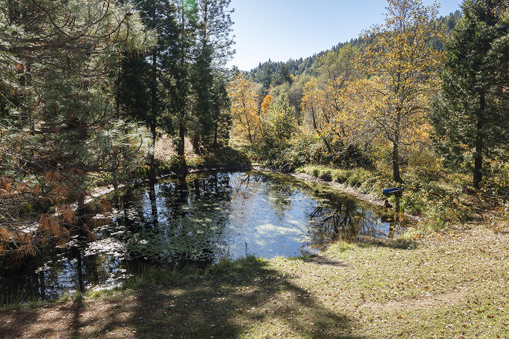 1263 Waldo Road Cave Junction, OR 97523 - Photo 25 of 82 36