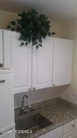 a kitchen with a sink a cabinets and a potted plant