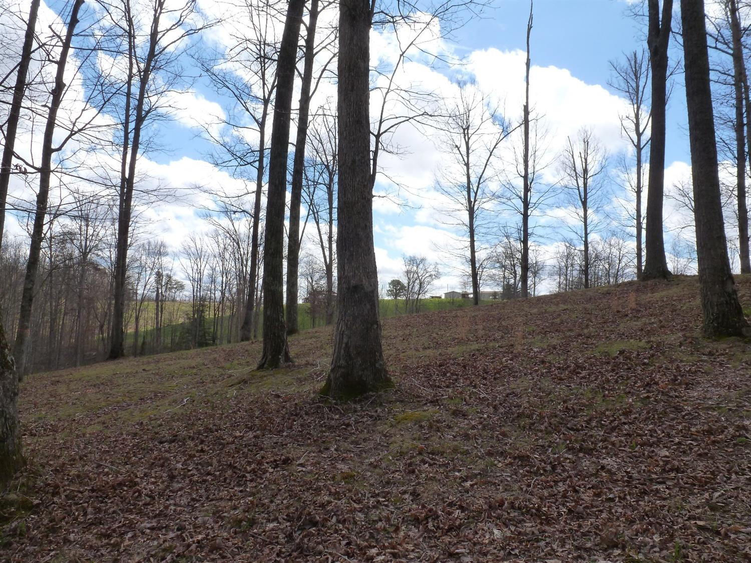 3821 Amos Ridge Road Frenchburg, KY 40322 - Photo 52 of 88 Photo 52