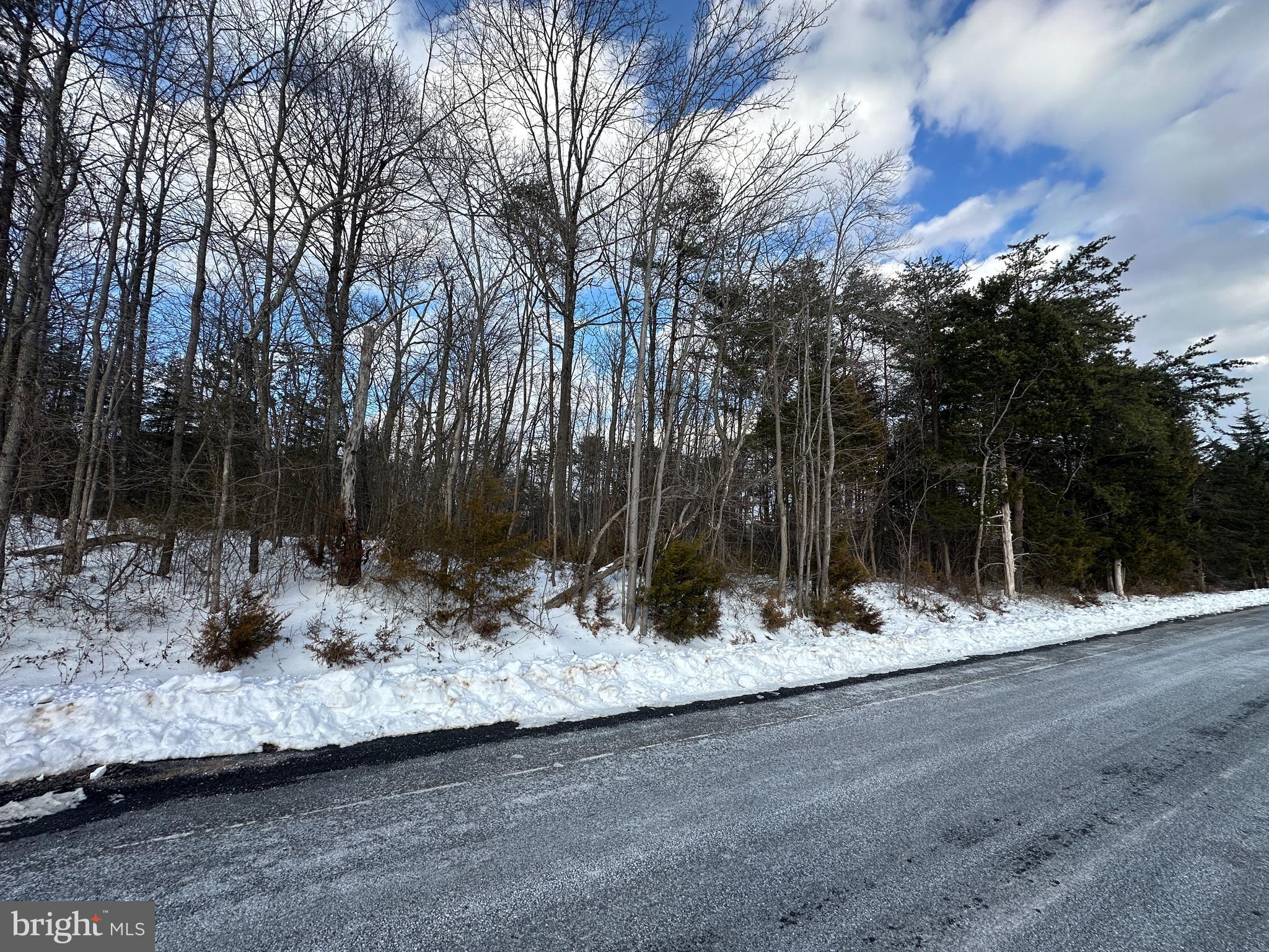 0 Hollow Road Gore, VA 22637 - Photo 1 of 1 Front of Lot from Hollow Rd.