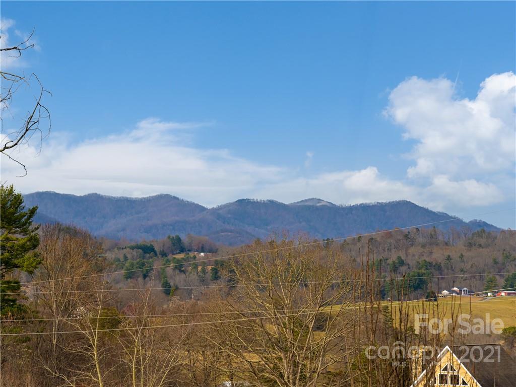 333 Gouges Branch Road Leicester, NC 28748 - Photo 3 of 48 a view of a lake with mountains in the background
