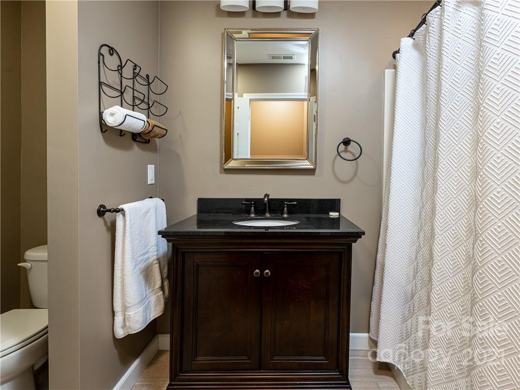 333 Gouges Branch Road Leicester, NC 28748 - Photo 23 of 48 a bathroom with a sink a toilet and mirror