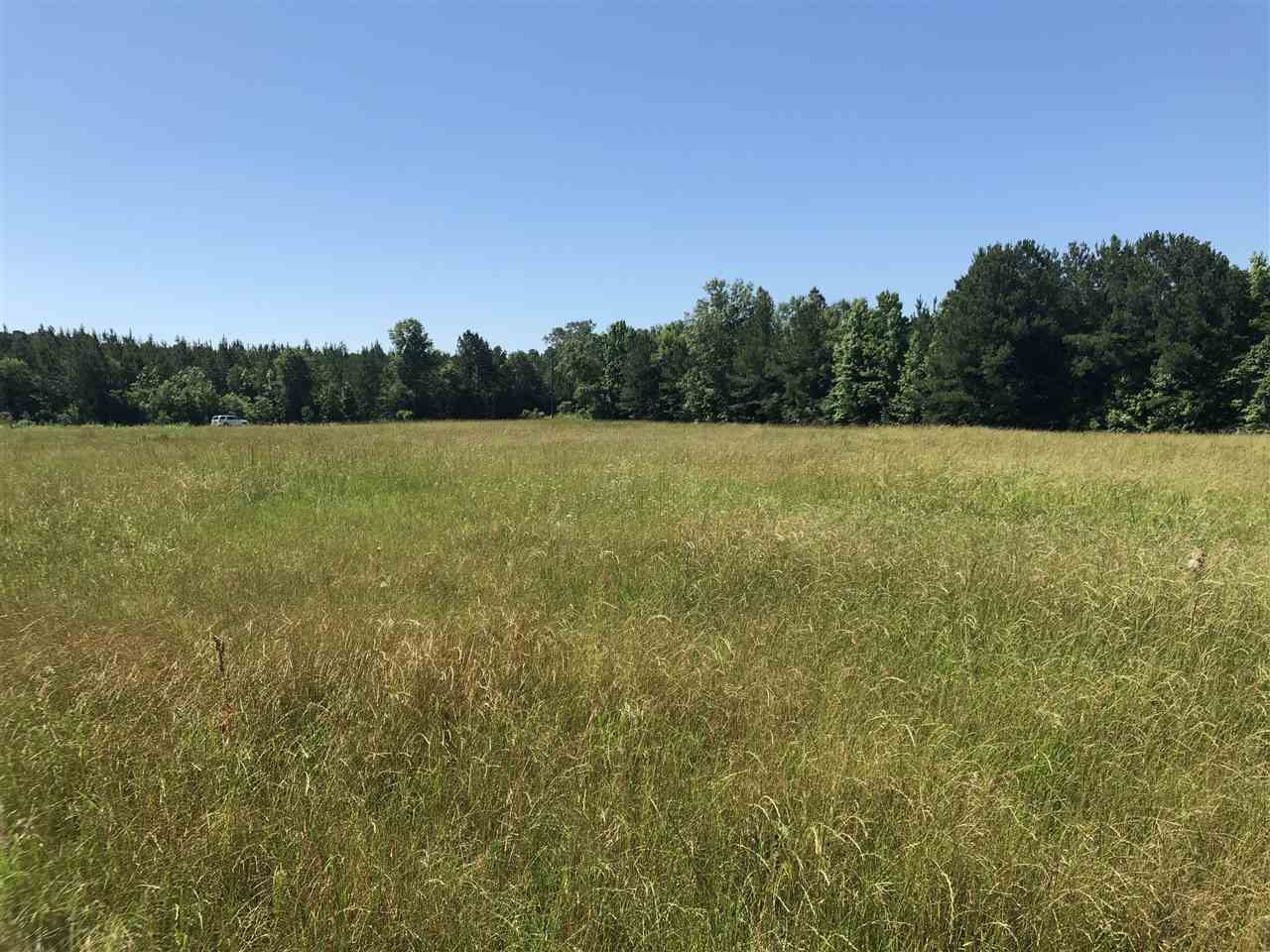 0 Gin Road Brandon, MS 39047 - Photo 11 of 17 Photo 11