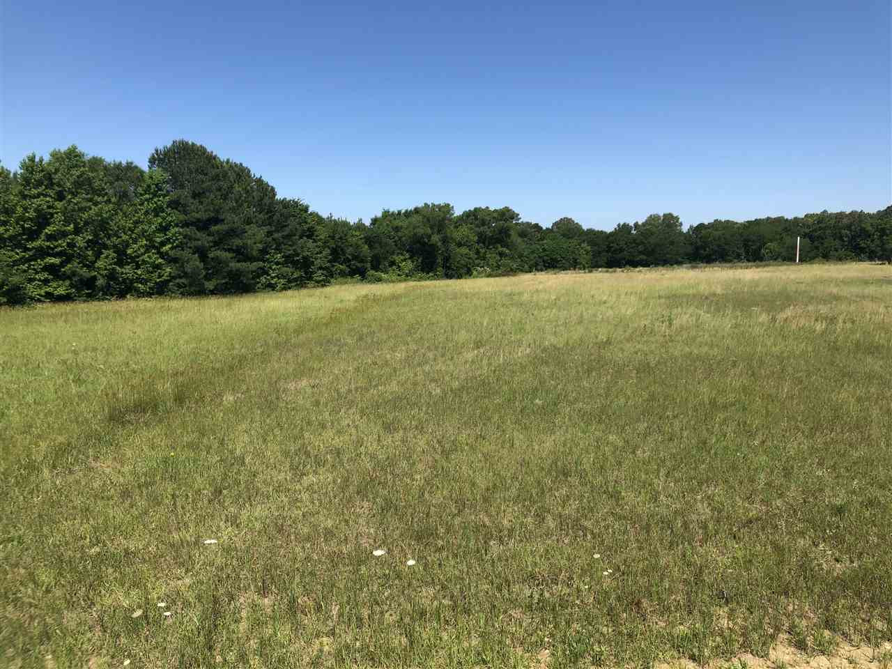 0 Gin Road Brandon, MS 39047 - Photo 2 of 17 Photo 2