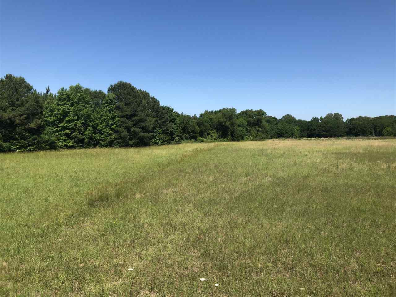 0 Gin Road Brandon, MS 39047 - Photo 3 of 17 Photo 3