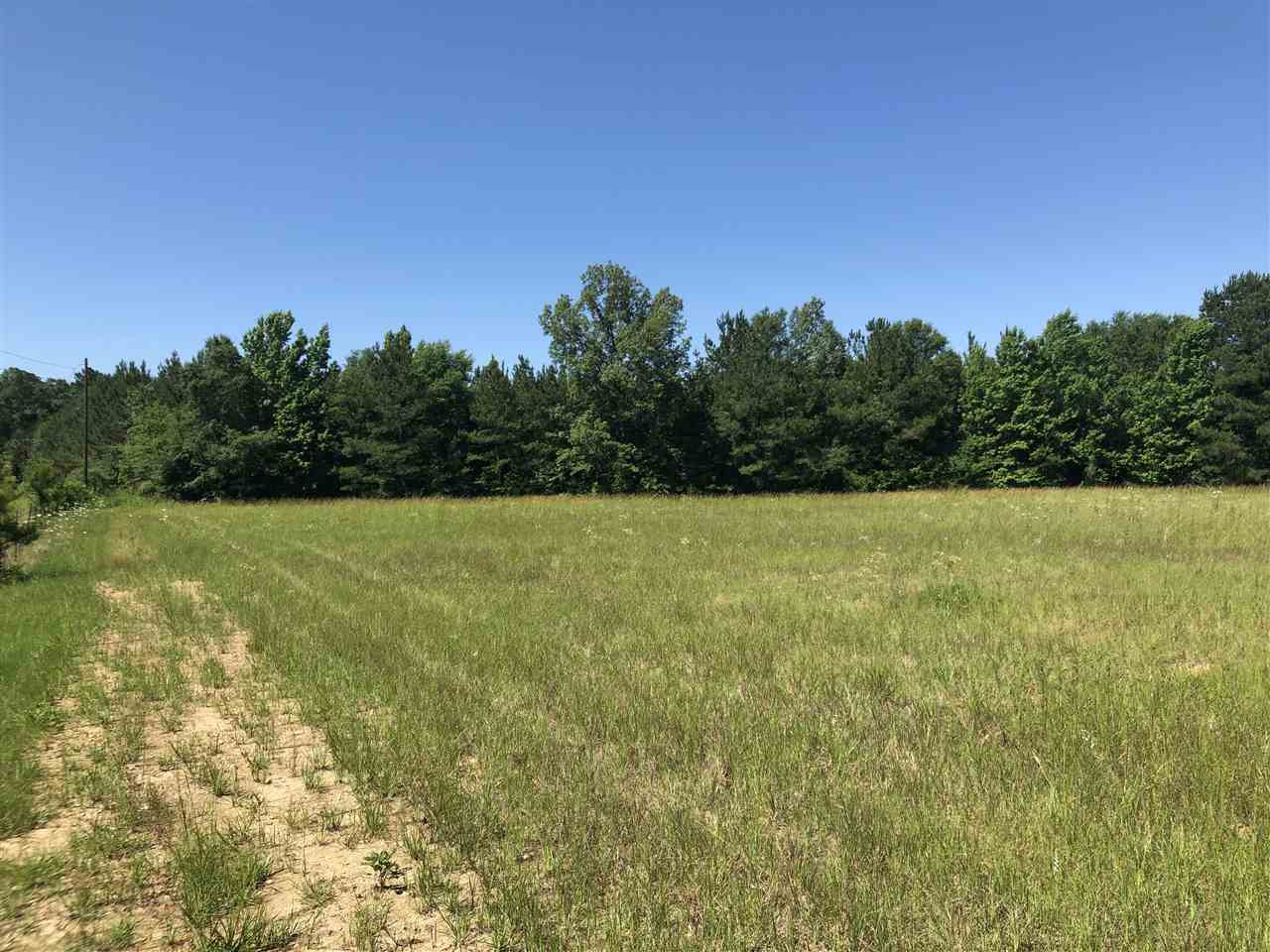 0 Gin Road Brandon, MS 39047 - Photo 5 of 17 Photo 5