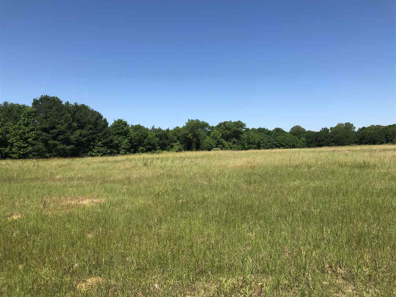 0 Gin Road Brandon, MS 39047 - Photo 7 of 17 Photo 7
