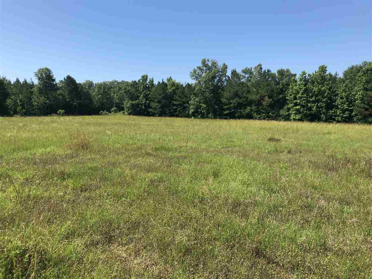 0 Gin Road Brandon, MS 39047 - Photo 8 of 17 Photo 8