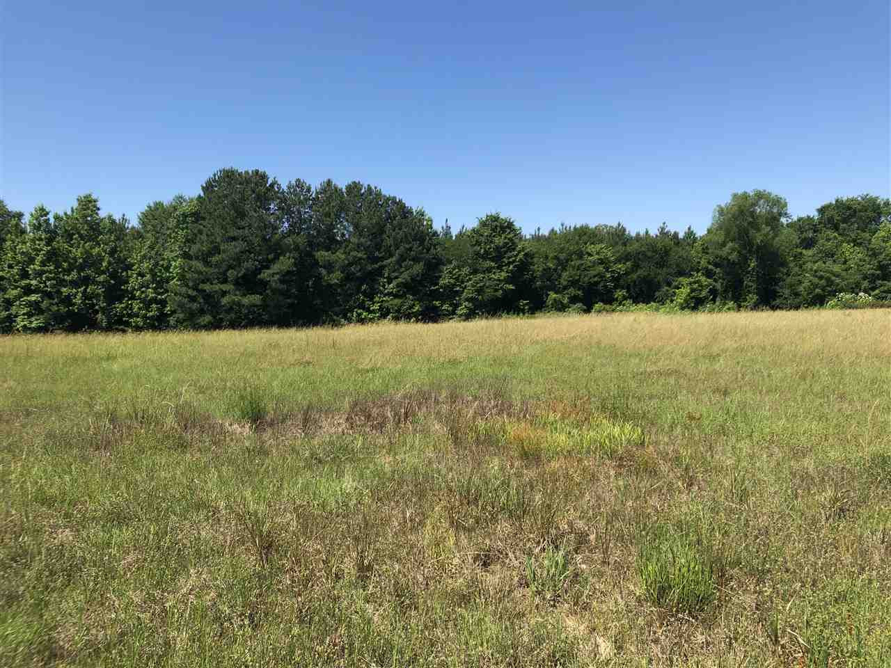 0 Gin Road Brandon, MS 39047 - Photo 9 of 17 Photo 9