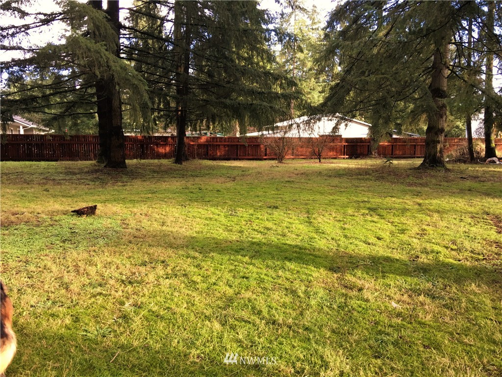 18706 Joselyn Road Southwest Rochester, WA 98579 - Photo 23 of 24