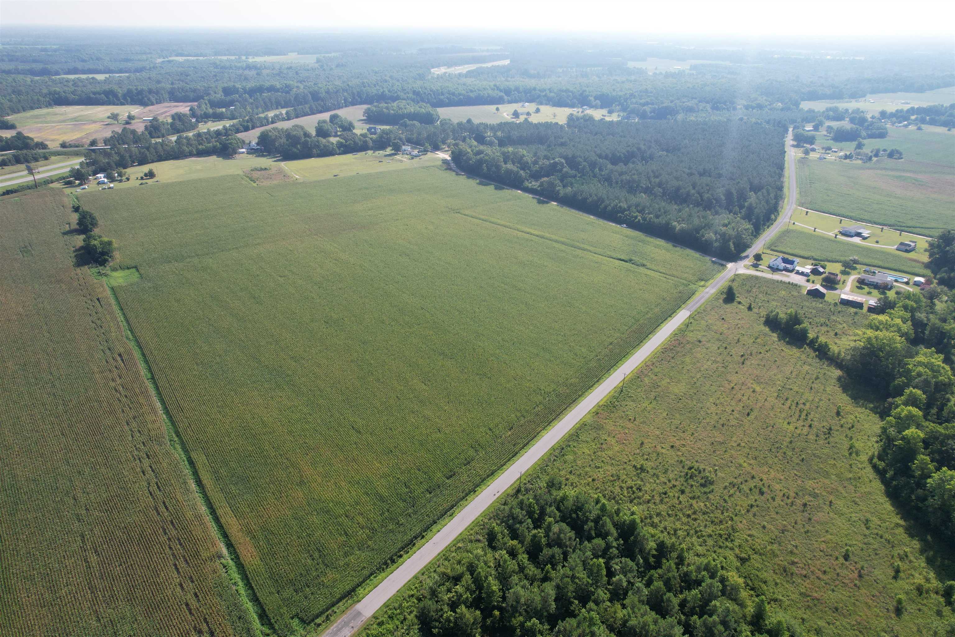 24.36-acres - Newman Swamp Road Lamar, SC 29069 - Photo 6 of 16 Gallery Image 6