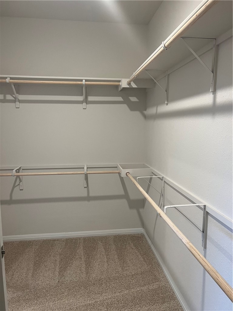 252 Sunniberg Loop Georgetown, TX 78626 - Photo 5 of 17 Primary Closet