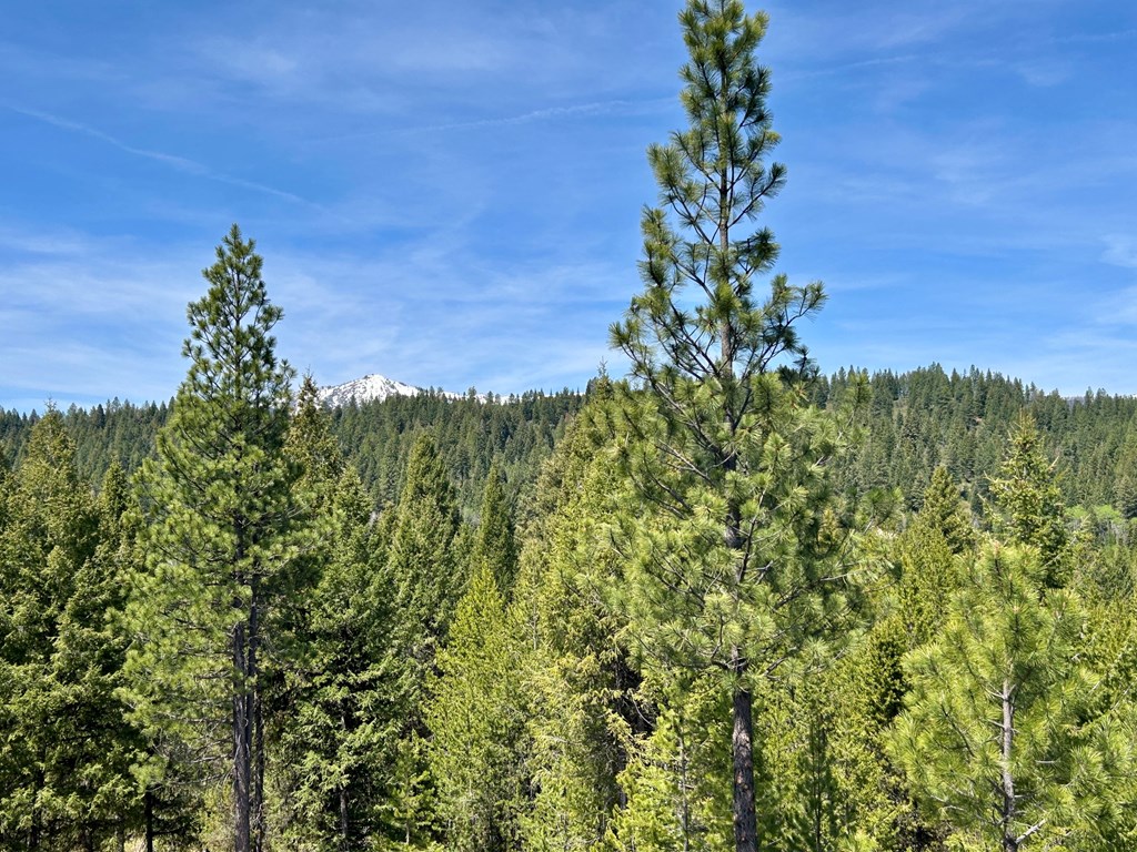 72 Sawtooth Loop, Unit LOT 32 Cascade, ID 83611 - Photo 2 of 12