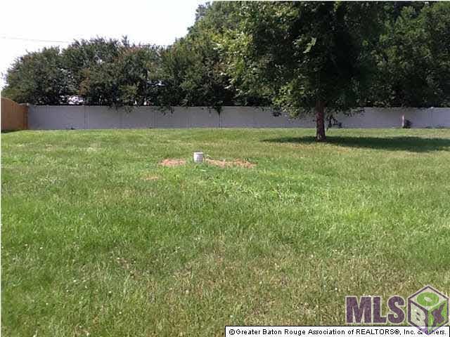 36415 Rue Lamonte Prairieville, LA 70769 - Photo 3 of 7 View of Lot