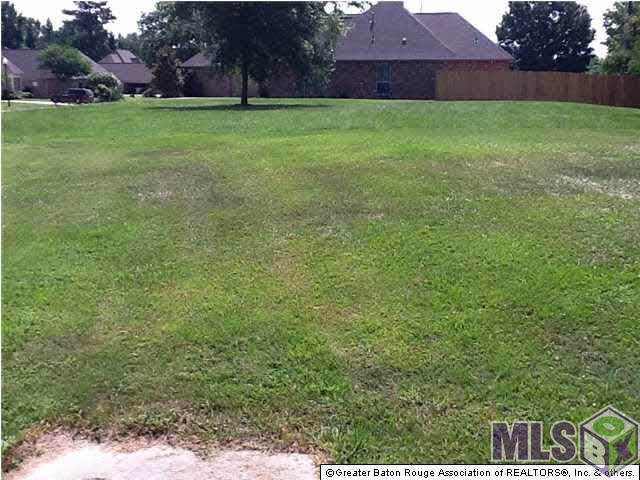 36415 Rue Lamonte Prairieville, LA 70769 - Photo 5 of 7 View of Lot