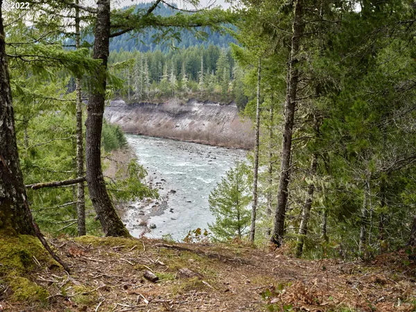 $195,000 | 2 Lahar Lane, Cougar, WA 98616